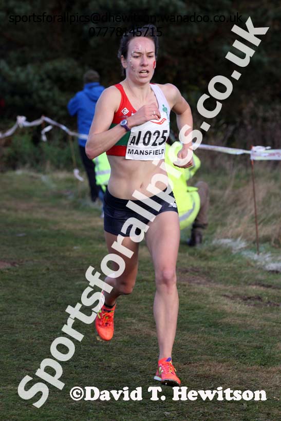 Senior women, 2016 National Cross Country Relays, Berry Hill Park, Mansfield. Photo: David T. Hewitson/Sports for All Pics